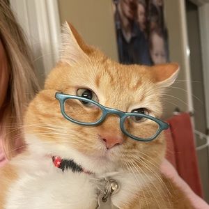 Meet your Posher, Bre